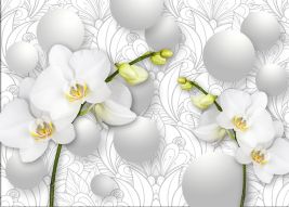 Фреска Нежные белые орхидеи 3d