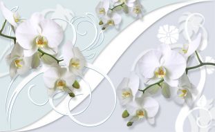 Фреска 3D орхидеи на фоне белой стены