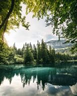 Фотообои Озеро в лесу